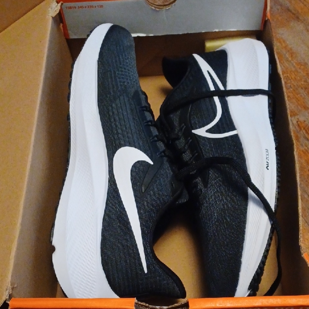 Nike Pegasus 39 Running Shoes Sz12 NIB